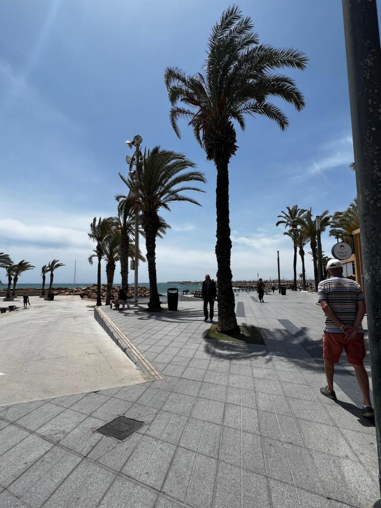 Sunset Playa Del Cura Apartment Torrevieja Exterior photo
